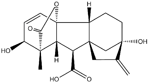 赤霉素GIBBERELLIC ACID，居然有這么神奇？